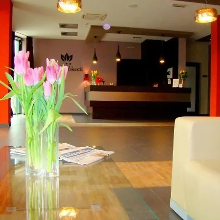 Отель Hotel Niepolomice
