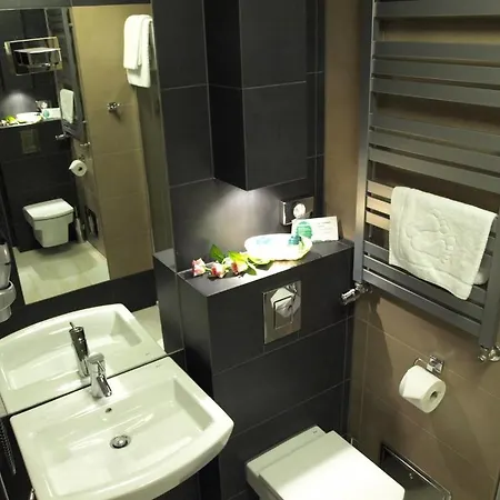 Hotel Niepolomice Hotel